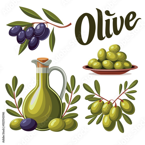 A set of illustrations on the theme of olives. A branch of black olives, green olives, a plate of olives, olive oil and the inscription Olive.