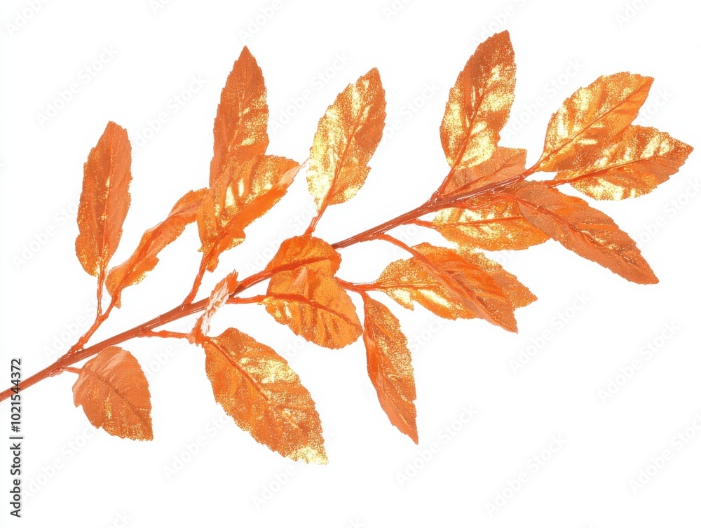 Golden laurel branch on white background for natural decor and design Golden laurel branch on white background for natural decor and design