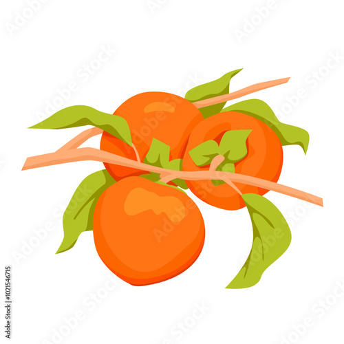 Branch of persimmon tree with fruits and green leaves on stem. Twig with farm sweet ripe harvest from summer or autumn garden, natural healthy vitamin product growing cartoon vector illustration