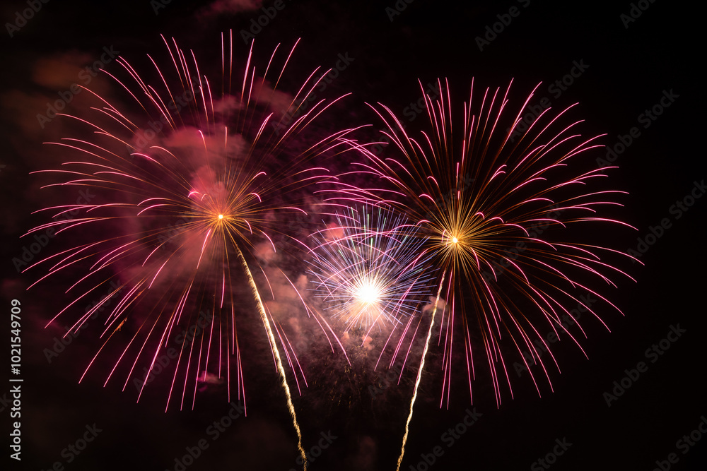 Fototapeta premium Fireworks display against the night sky.