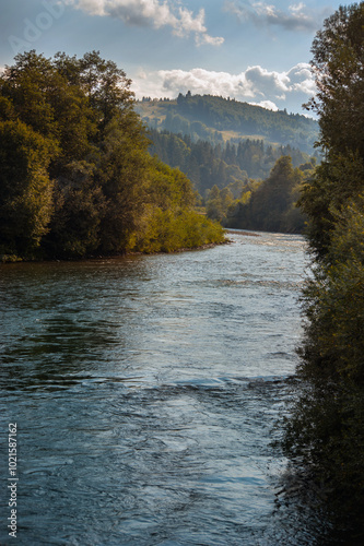 river and trees in autumn landscape in the Carpathians photo