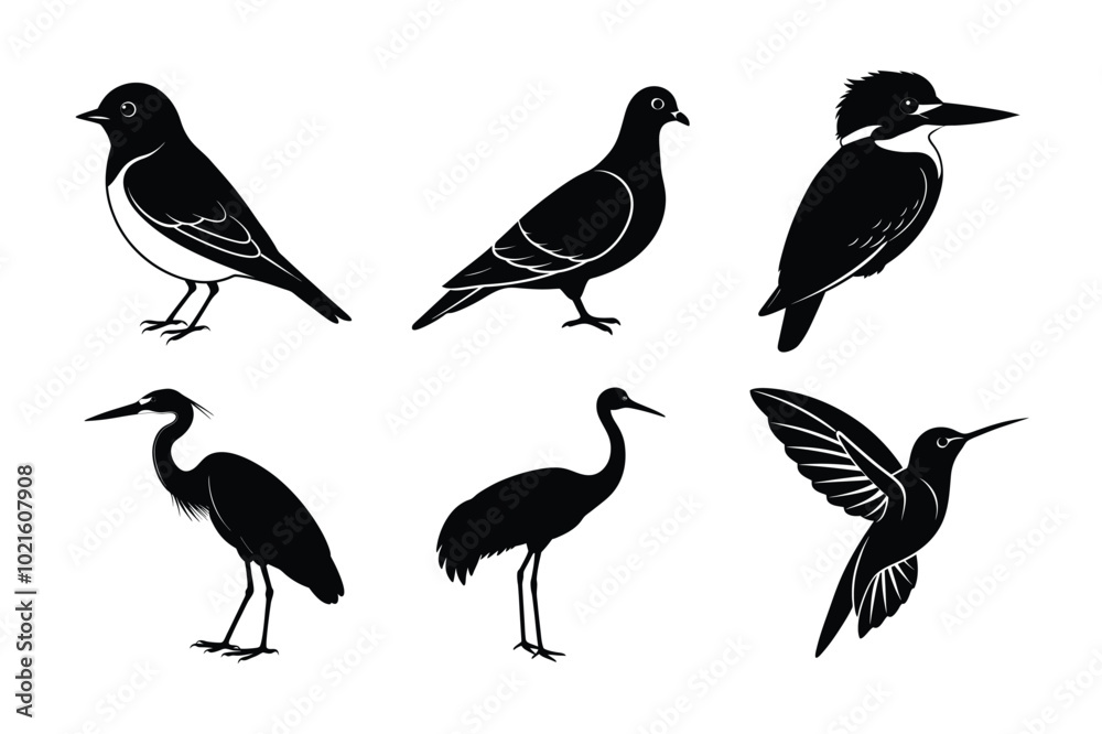 set of silhouettes of birds set of silhouettes of birds
