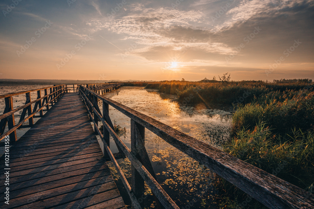 Sonnenaufgang am Federsee in Bad Buchau, Oberschwaben – goldenes Licht über Wasser und Schilfwiesen. Der Federsee, einer der größten Moorseen Süddeutschlands, ist ein wertvolles Naturparadies. Sonnenaufgang am Federsee in Bad Buchau, Oberschwaben – goldenes Licht über Wasser und Schilfwiesen. Der Federsee, einer der größten Moorseen Süddeutschlands, ist ein wertvolles Naturparadies.