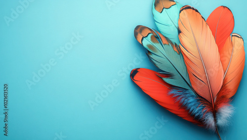 Obraz na płótnie Nation indigenous peoples day concept, Colorful feather on minimslist color background w salonie