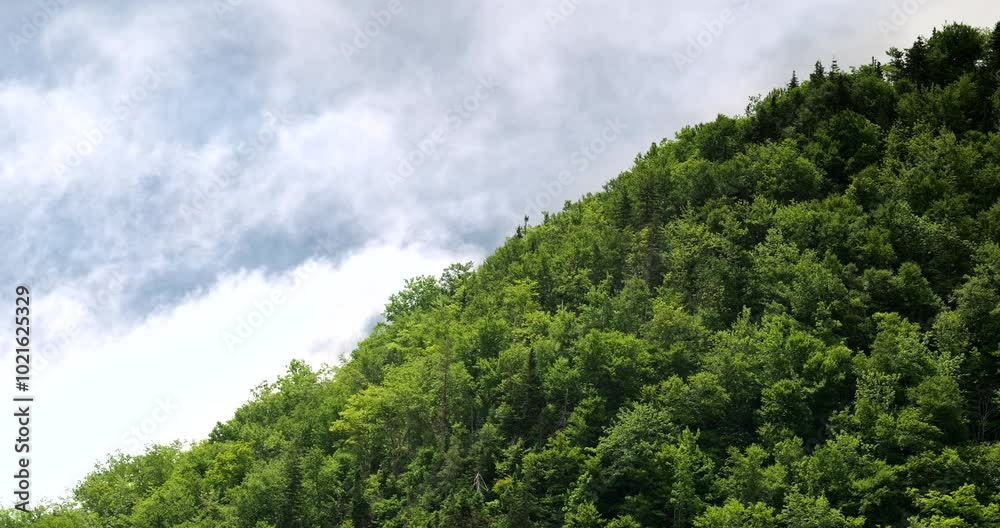 The Cabot Trail in Nova Scotia, featuring breathtaking views of rolling hills and a winding road through lush landscapes along the coast The Cabot Trail in Nova Scotia, featuring breathtaking views of rolling hills and a winding road through lush landscapes along the coast