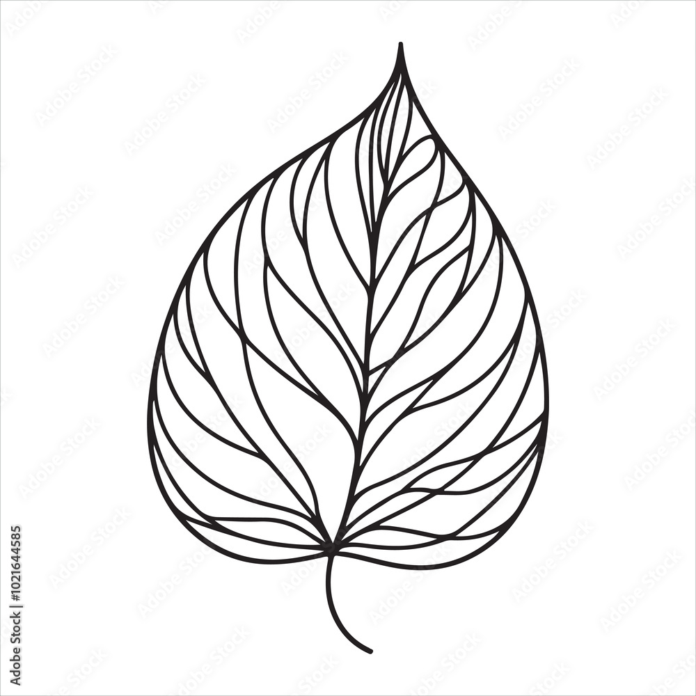single one line Leaf silhouette on white background
single one line Leaf silhouette on white background