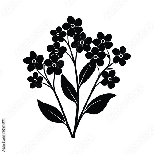 Black silhouettes of   forget-me-not flower, isolated on a white background. Vector illustration