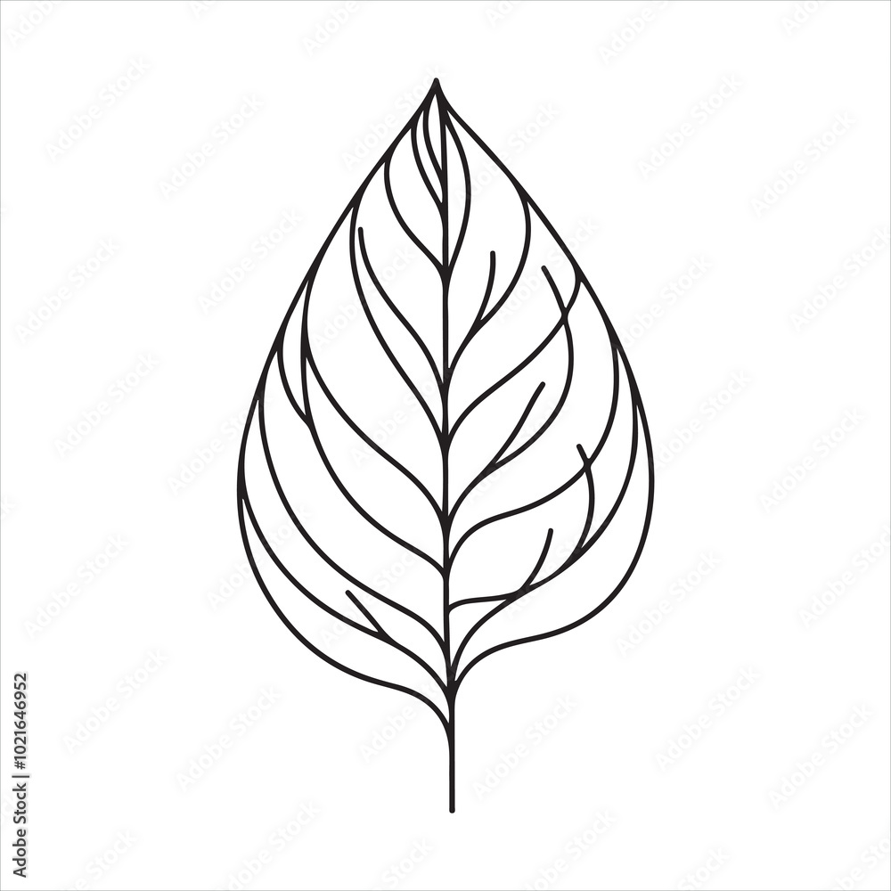 single one line Leaf silhouette on white background
single one line Leaf silhouette on white background