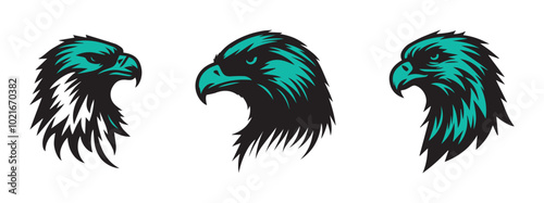 Hawks in Flight Stunning Vector Art Set
Predatory Elegance  A Hawk Illustration Collection