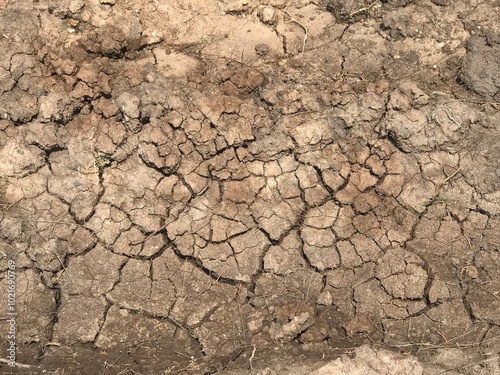 Obraz na płótnie soil in dry season. Nature background w salonie
