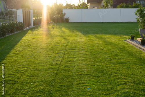 home backyard with green grass and sunrays
