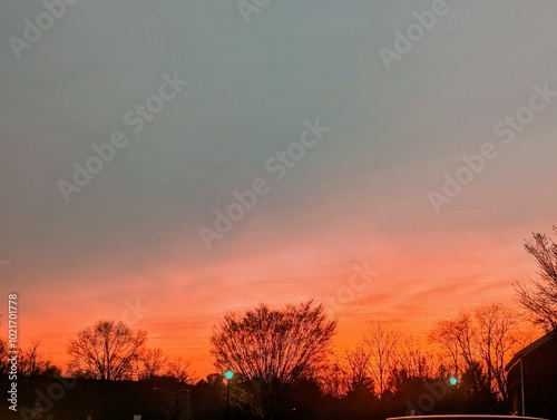 sunset in the field