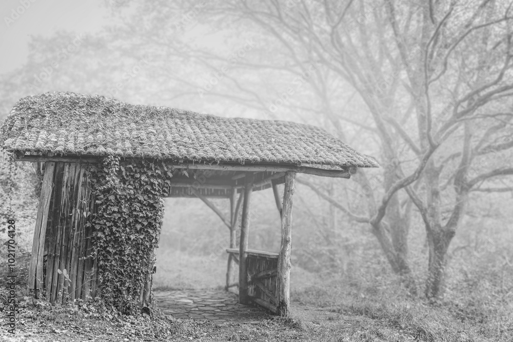 old house in the morning fog