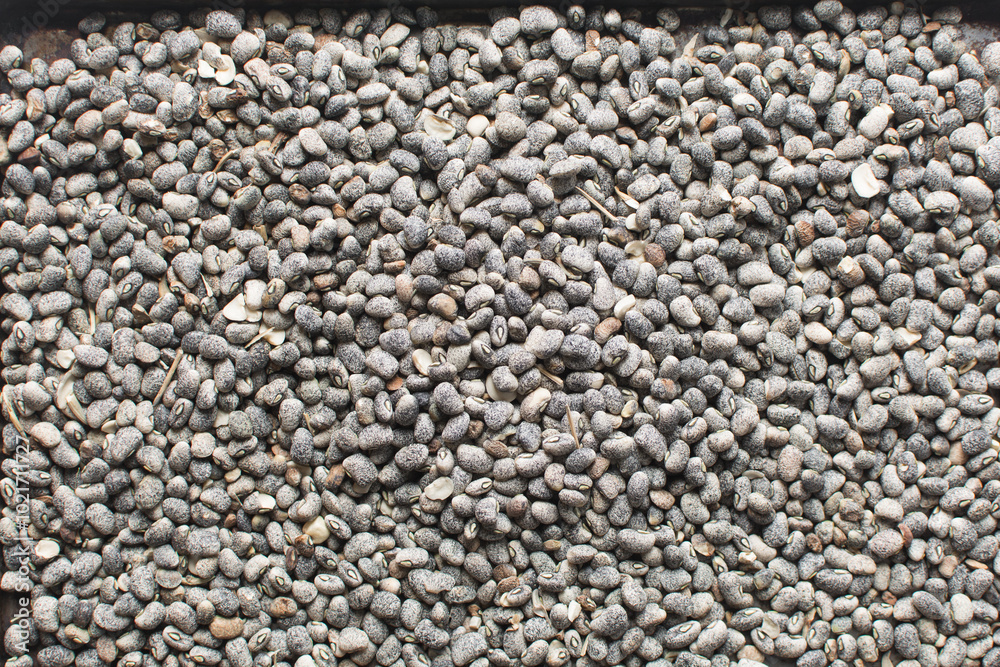 overhead view of blue speckled beans, top view of nigerian army beans, speckled heirloom beans in a tray overhead view of blue speckled beans, top view of nigerian army beans, speckled heirloom beans in a tray