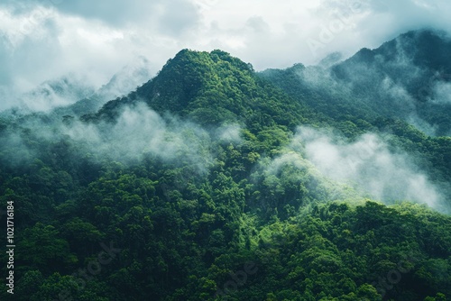 Majestic Mountains Surrounded by Lush Greenery