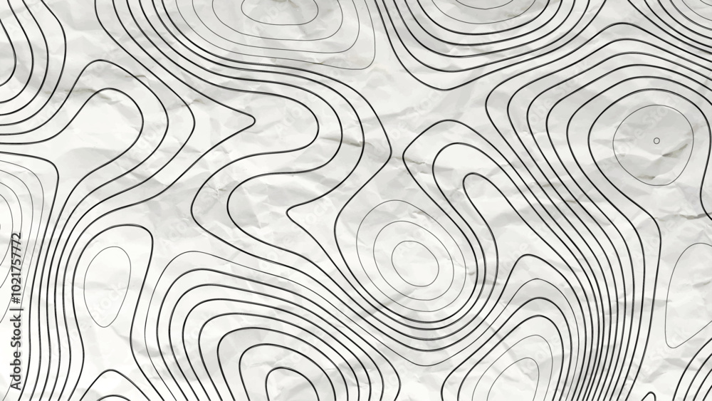 The stylized height of the topographic contour in lines and contours. Gray on white colors background. The stylized height of the topographic contour in lines and contours. Gray on white colors background.