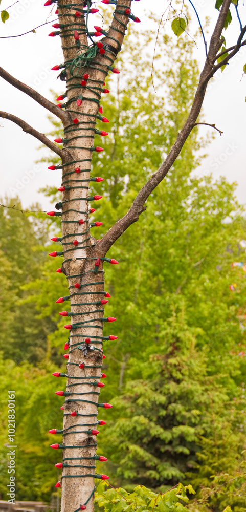 Fototapeta premium A tree with red lights over green background.