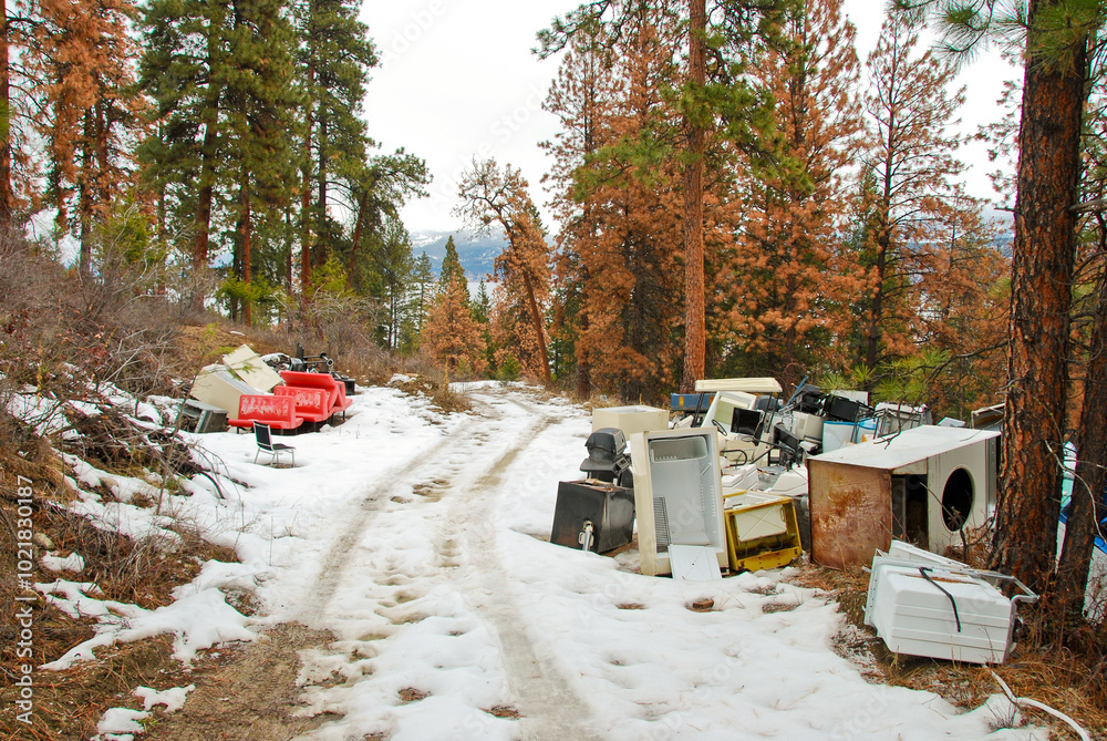 custom made wallpaper toronto digitalWinter forest with pale of garbage or scrap.