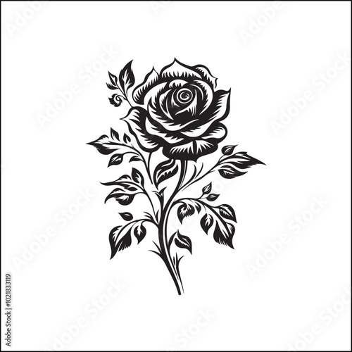 rose, flower, vector, floral, pattern, design, illustration, decoration, vintage, nature, love, art, leaf, card, ornament, pink, plant, seamless, tattoo, roses, spring, drawing, petal, blossom, valent