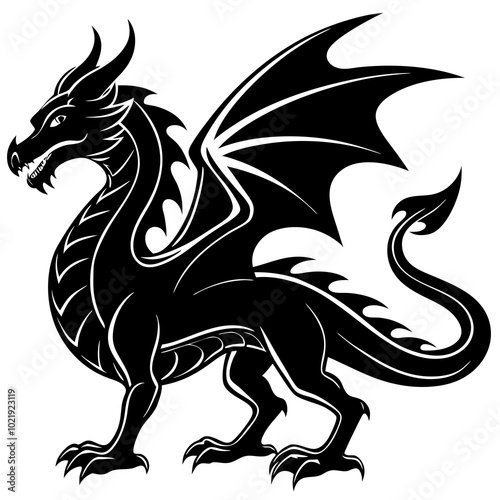 black and white dragon