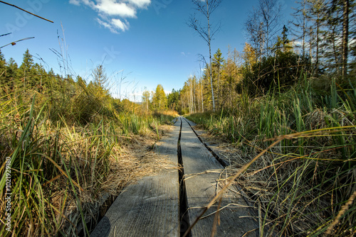 Bohlenweg photo