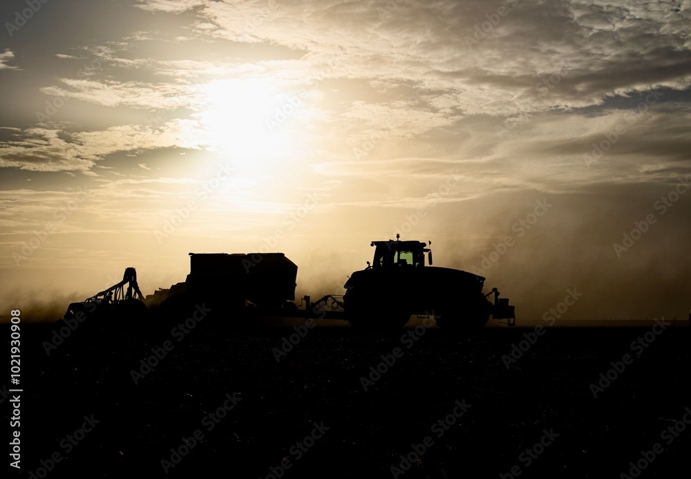 Fototapeta premium tractor sowing seeds black silhouette at sunset