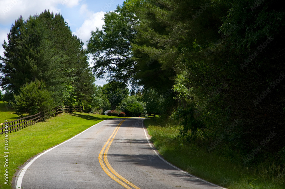 Fototapeta premium Rural Road in Oconee County in South Carolina USA