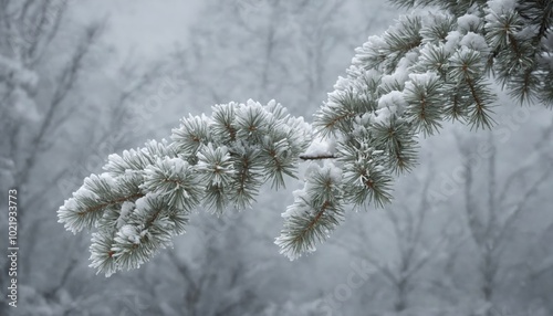 Snow-laden pine branches glisten softly against a blurred winter forest backdrop on a tranquil snowy day