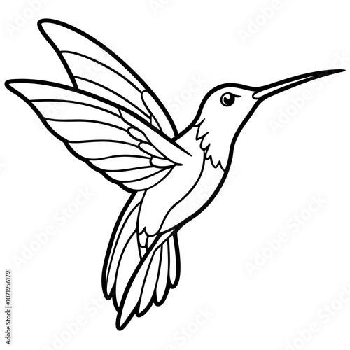 hummingbird and flower