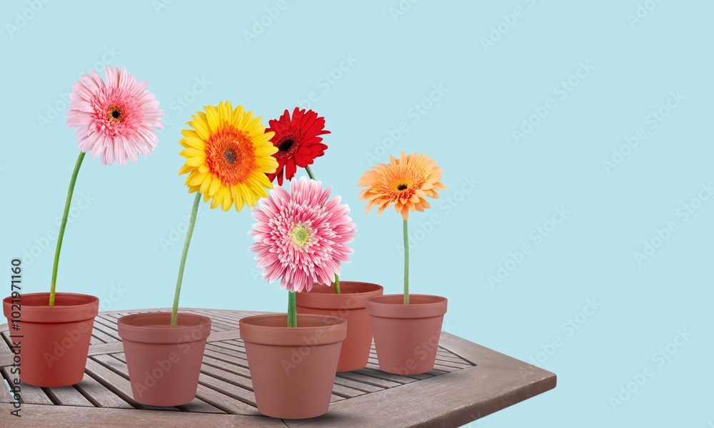 custom made wallpaper toronto digitalStylish botany composition with fresh plants in different pots