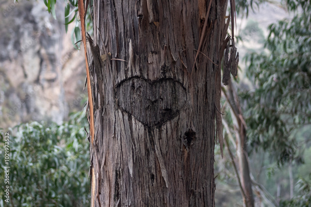 Fototapeta premium corazon tallado en un arbol con las iniciales de una pareja enamorada