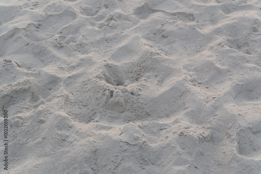 A sandy surface with an uneven wavy texture, created by the wind and tourists who love building sandcastles. A sandy surface with an uneven wavy texture, created by the wind and tourists who love building sandcastles.