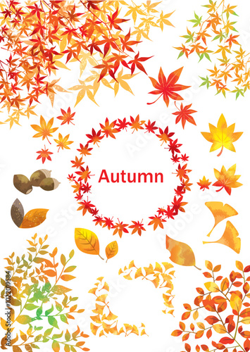 紅葉, 葉, アイコン, フレーム, 秋, もみじ, かえで, 銀杏, どんぐり, 自然, 10月, 11月, 木, 森, 枯れ葉, 落葉, リーフ, ナチュラル, デコレーション, 落ちる, デザイン, イラスト, 七五三, 水彩