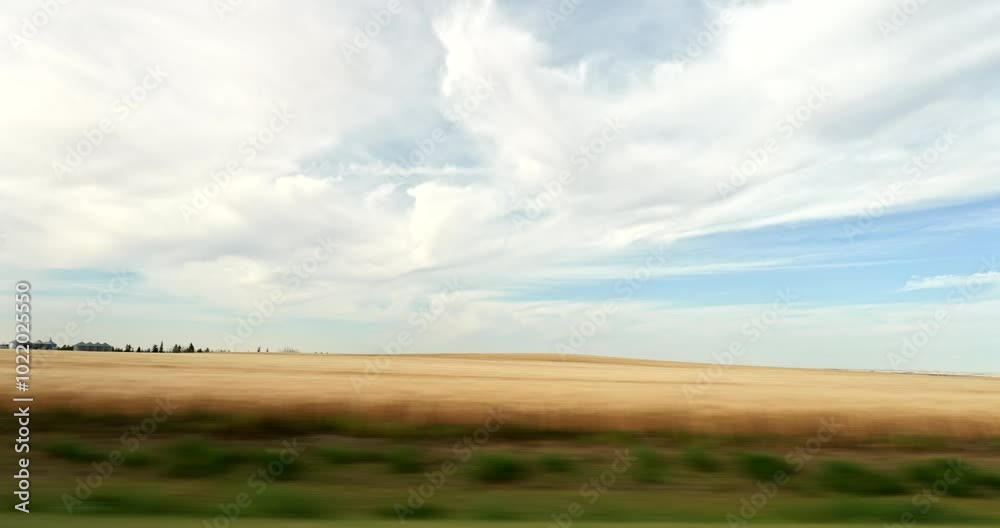 Driving plate side view on a highway through open plains and farmland in Midwestern United States agricultural fields under a wide sky rural travel and American heartland concept Driving plate side view on a highway through open plains and farmland in Midwestern United States agricultural fields under a wide sky rural travel and American heartland concept