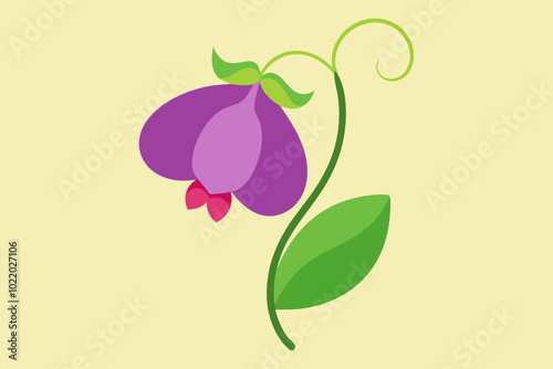 sweet pea flower vector illustration 