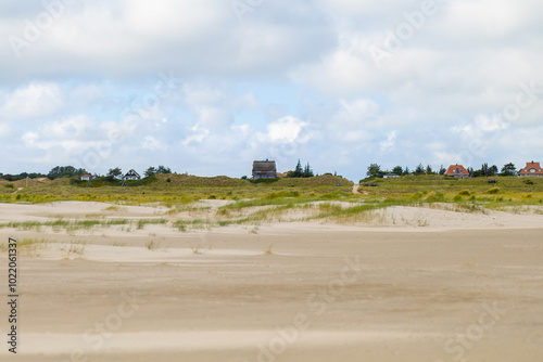 Distant houses on a sandy beach with grassy dunes under a cloudy sky in a coastal landscape during daytime photo