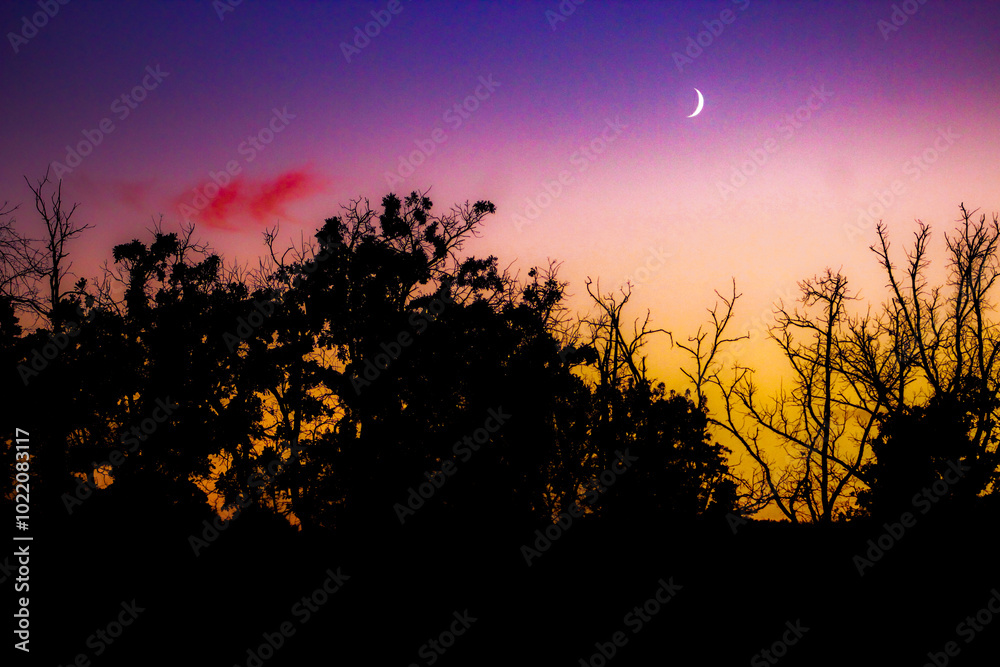 Obraz premium colorful sunset with crescent moon silhouette landscape