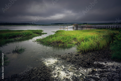 Lowcountry Storm photo