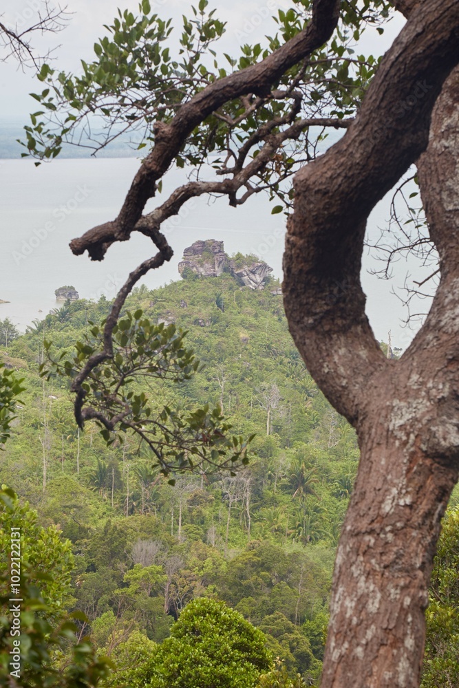 The trails and animals of Bako National Park, Sarawak Province, Malaysian Borneo