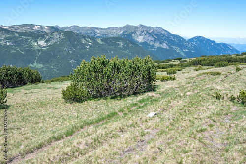 Rila mountain near The Dead and The Fish Lakes, Bulgaria photo