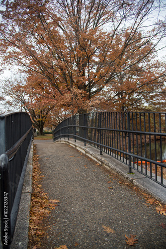 bridge in autumn