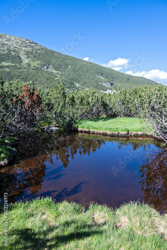 Rila mountain near The Dead and The Fish Lakes, Bulgaria photo