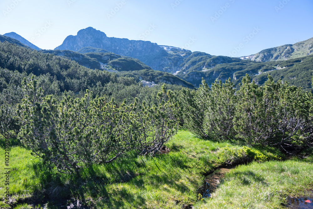 Fototapeta premium Rila mountain near The Dead and The Fish Lakes, Bulgaria