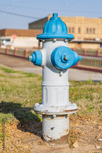 A blue and white painted fire hydrant in a small town.