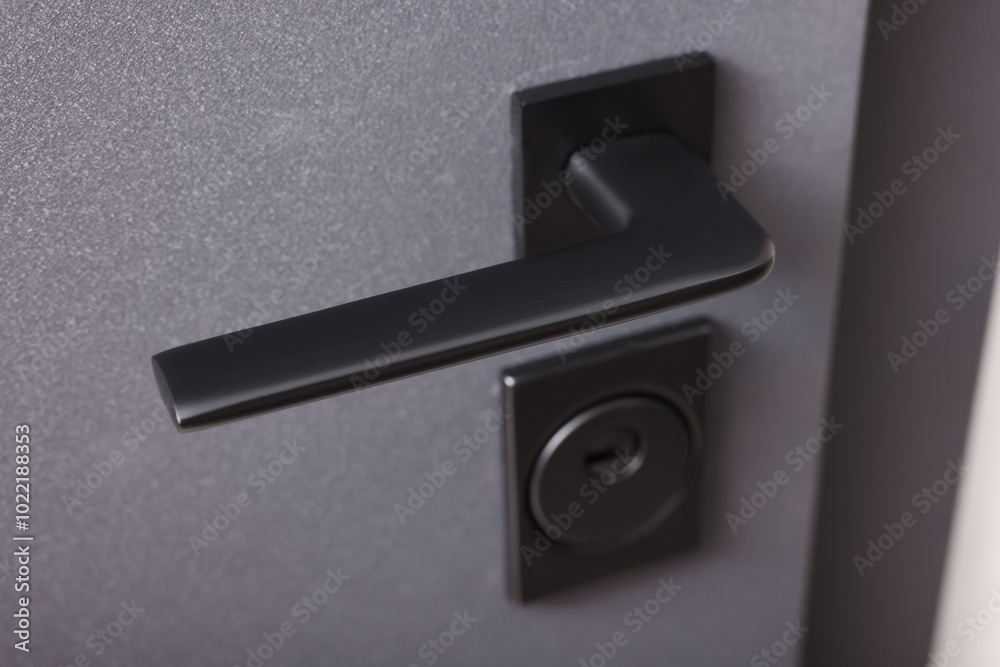 View of door with modern handle, closeup View of door with modern handle, closeup