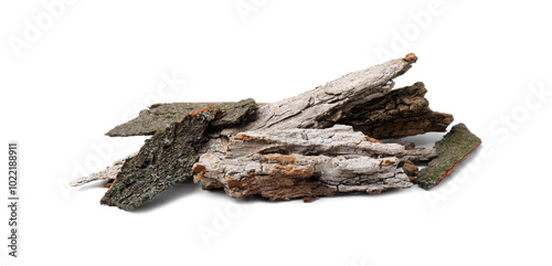 Heap of tree bark pieces isolated on white