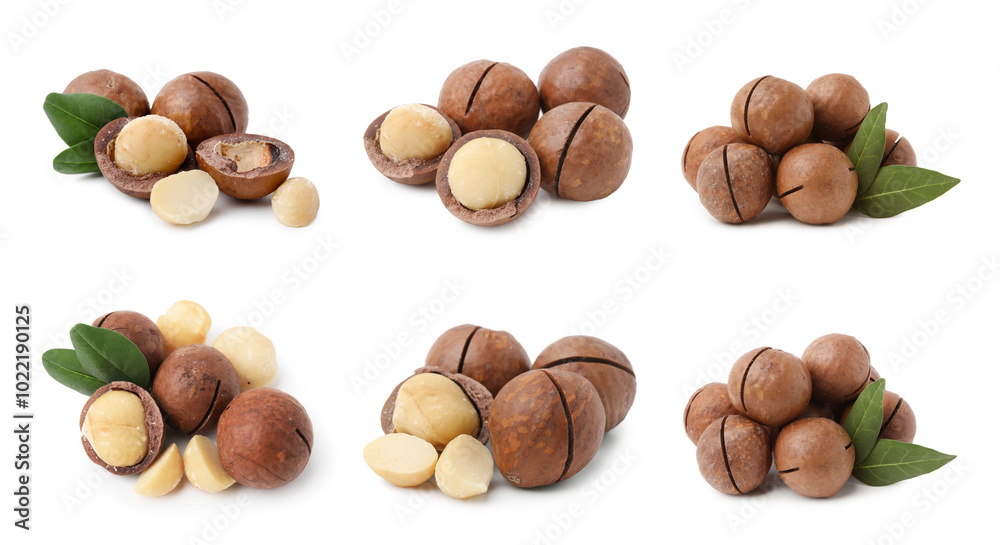 Many macadamia nuts isolated on white, collage Many macadamia nuts isolated on white, collage