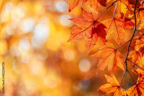 Fallen Leaves Season Background created with Generative AI