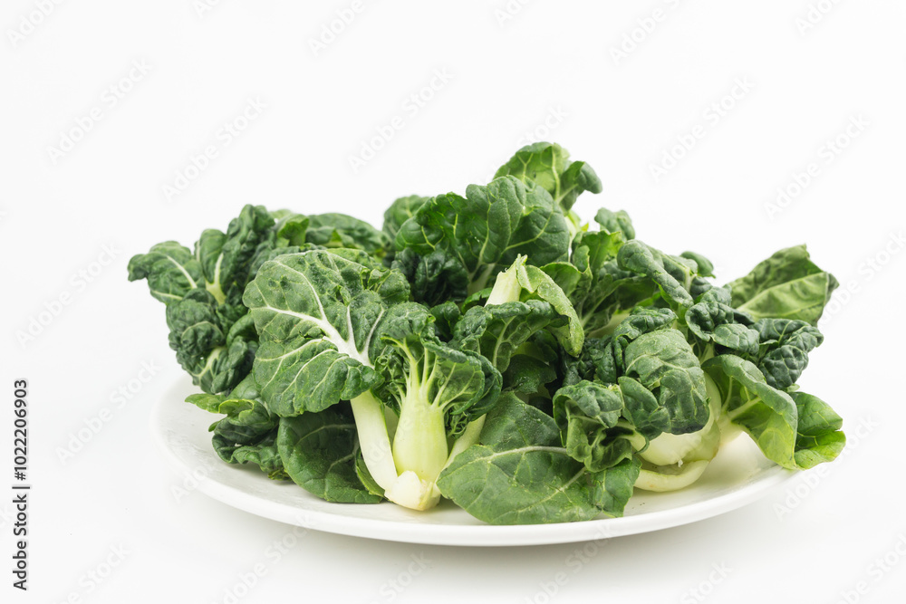 Organic white bok choy or bak choi Chinese isolated on white background Organic white bok choy or bak choi Chinese isolated on white background