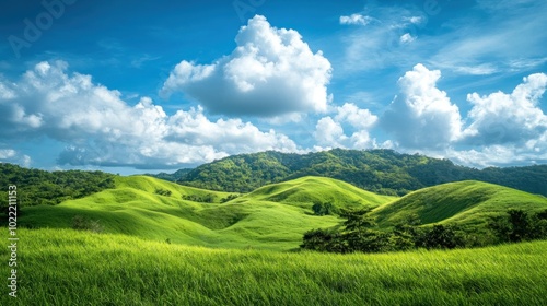 Serene Lush Green Hills Under a Bright Sky